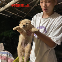 病魔无情，人间有爱  ——为学院急性白血病患者江文超同学爱心捐款倡议书插图4
